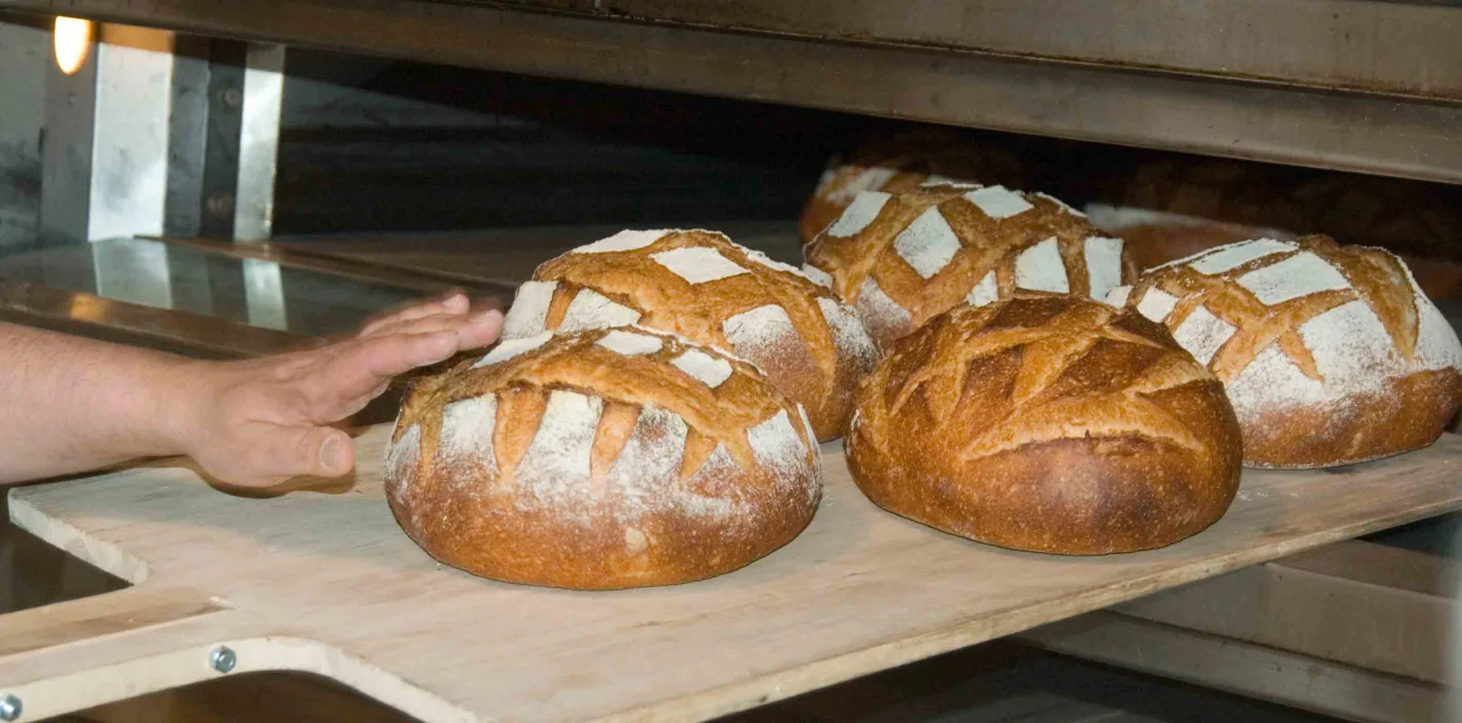 Unox hernesupp: hollandi klassika